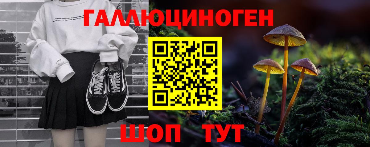 Вятские Поляны  Галлюциногенные грибы прущие грибы  купить наркоту  Псилоцибиновые грибы прущие грибы  Вход с VPN 